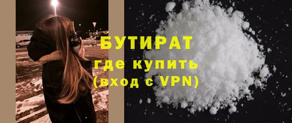 шишки Няндома