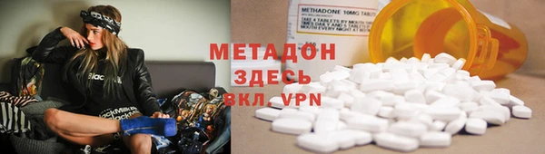 индика Абаза