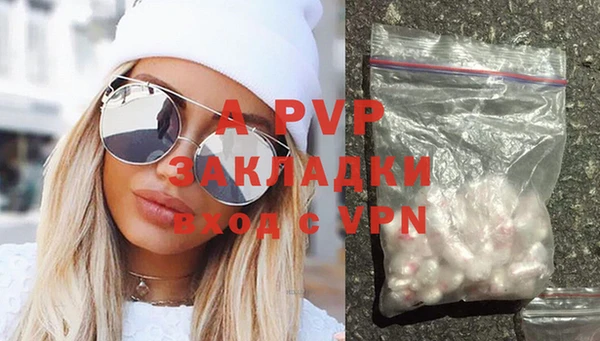 индика Абаза