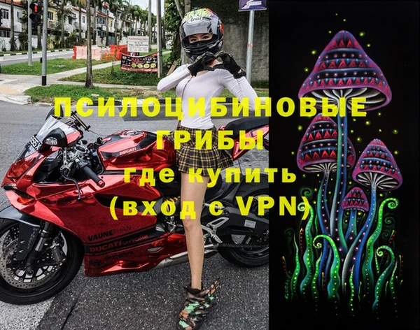 индика Абаза