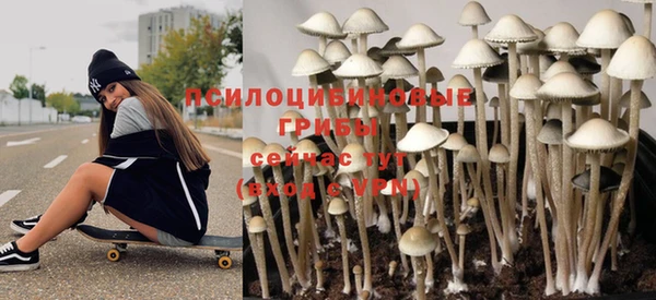 индика Абаза