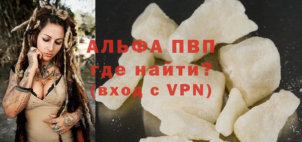 индика Абаза