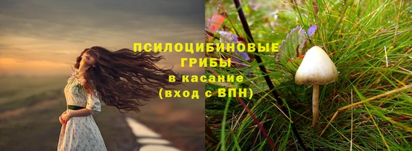 МДПВ Абинск