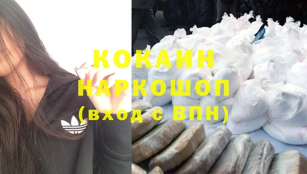 индика Абаза