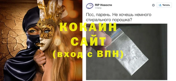индика Абаза